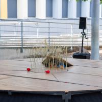 Nanoua - Un jour sans pain - 24ème festival Graines de Rue ©Dominique Trillaud