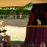 Zusvex - Minimal Circus - 24ème festival Graines de Rue ©Dominique Trillaud