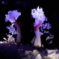 Les Bestioles - Sous la neige - 24ème festival Graines de Rue ©Dominique Trillaud